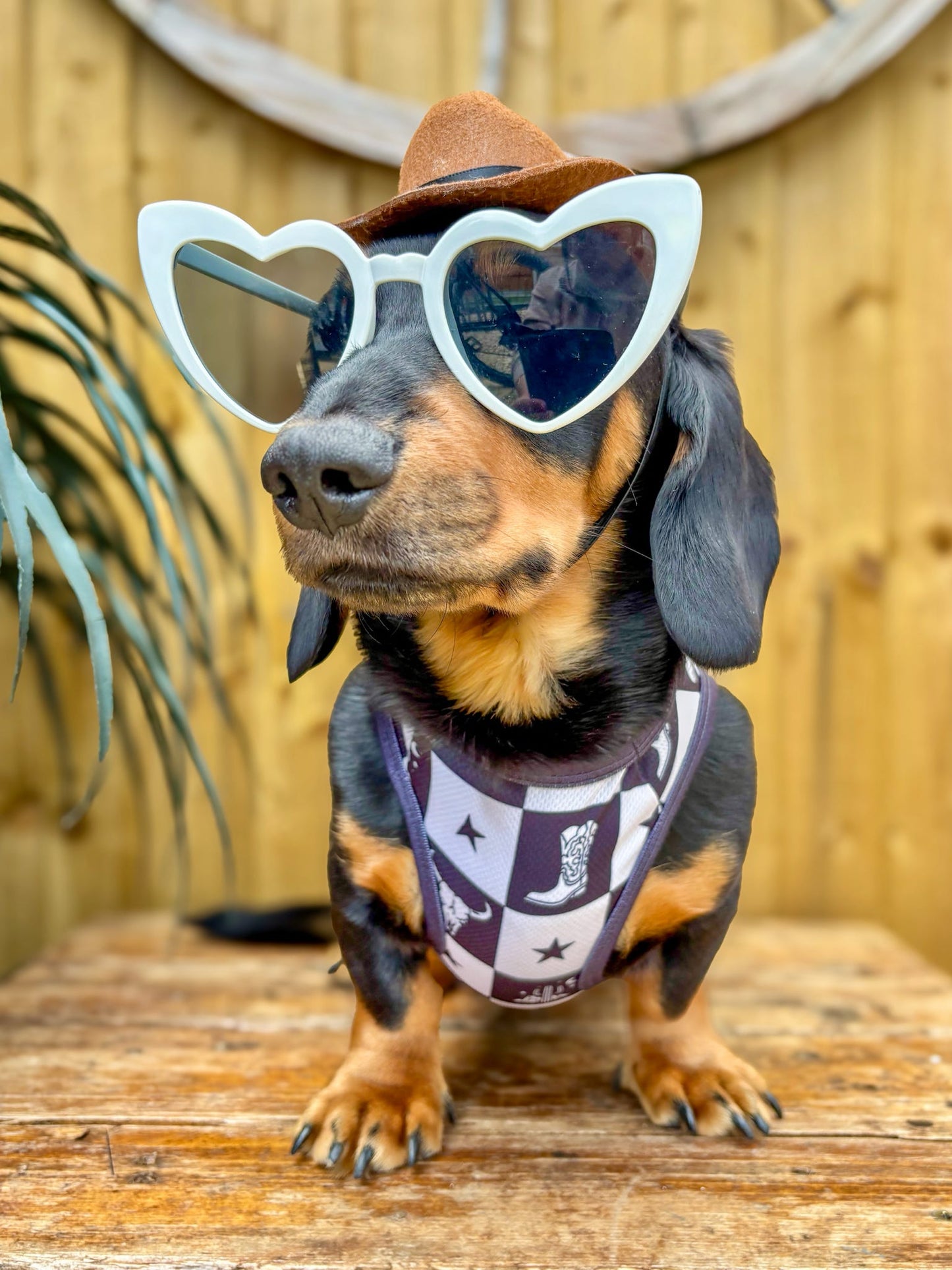 Wild West Cooling Vest