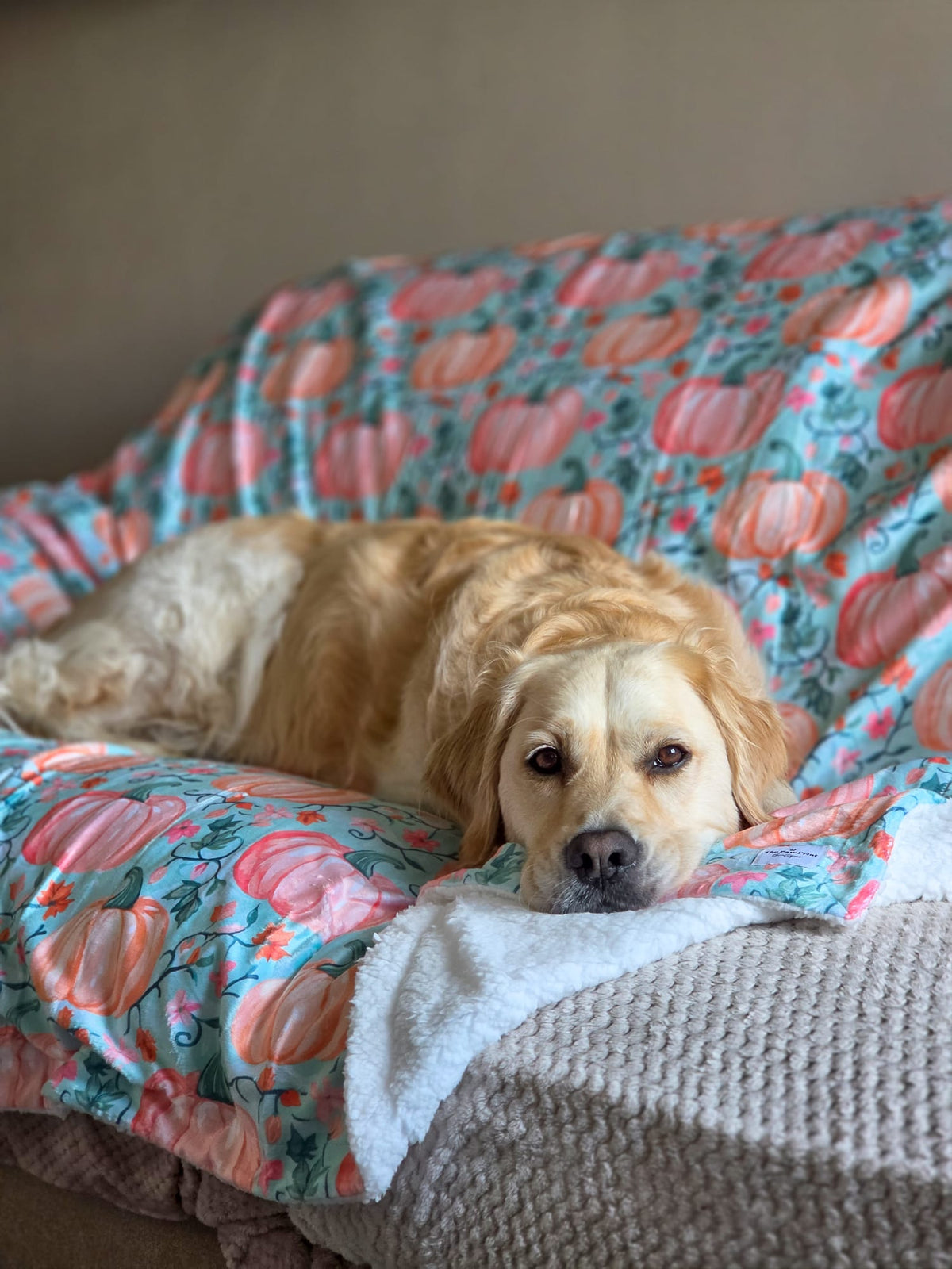 The Pablo’s Pumpkins Human Blanket