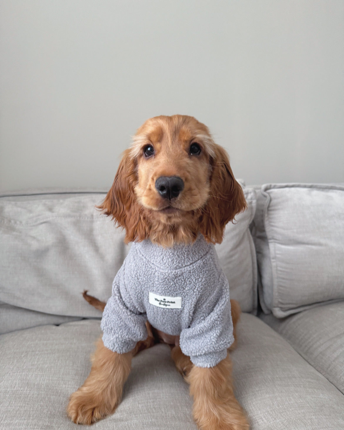 Teddy Fleece - Grey