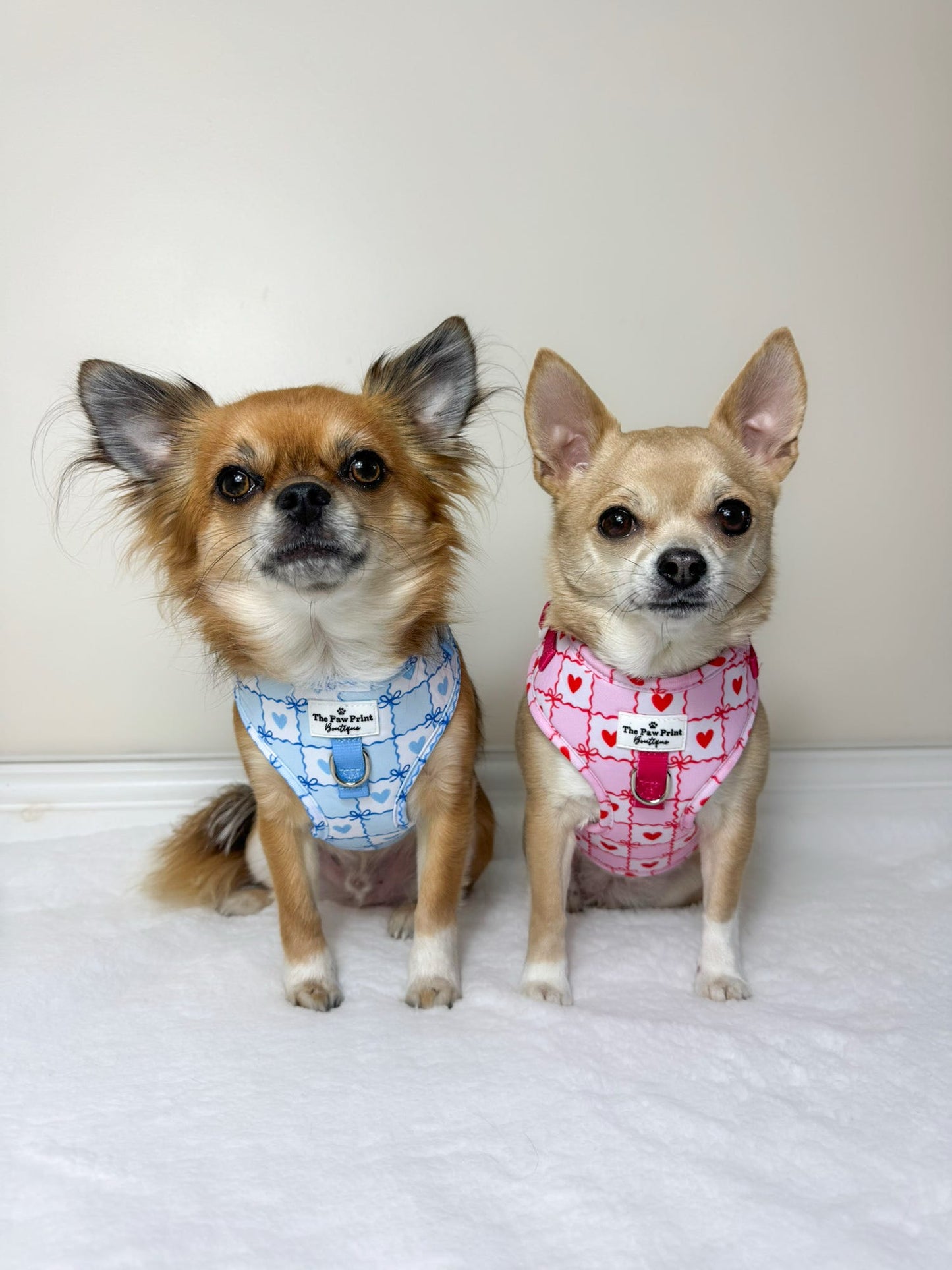 Blue Chequered Hearts Adjustable Harness