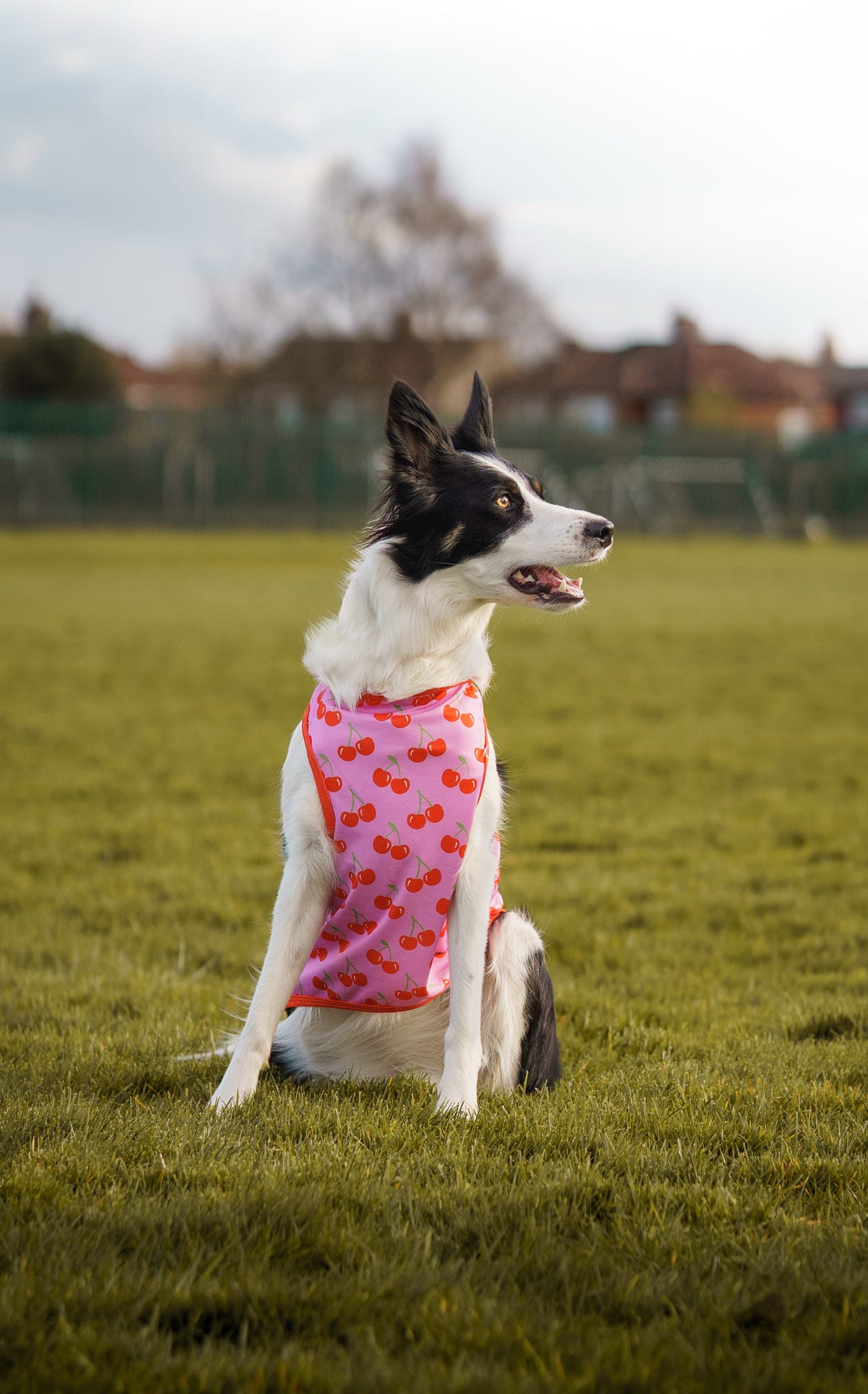 The Cherry on Top Cooling Vest
