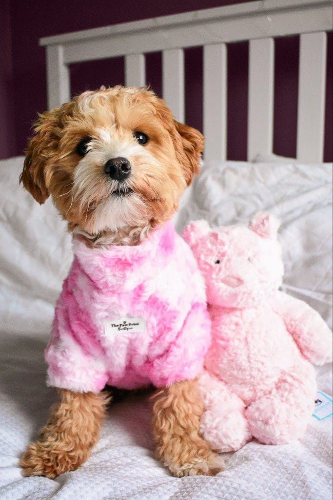 Cotton Candy Tie Dye Fleece