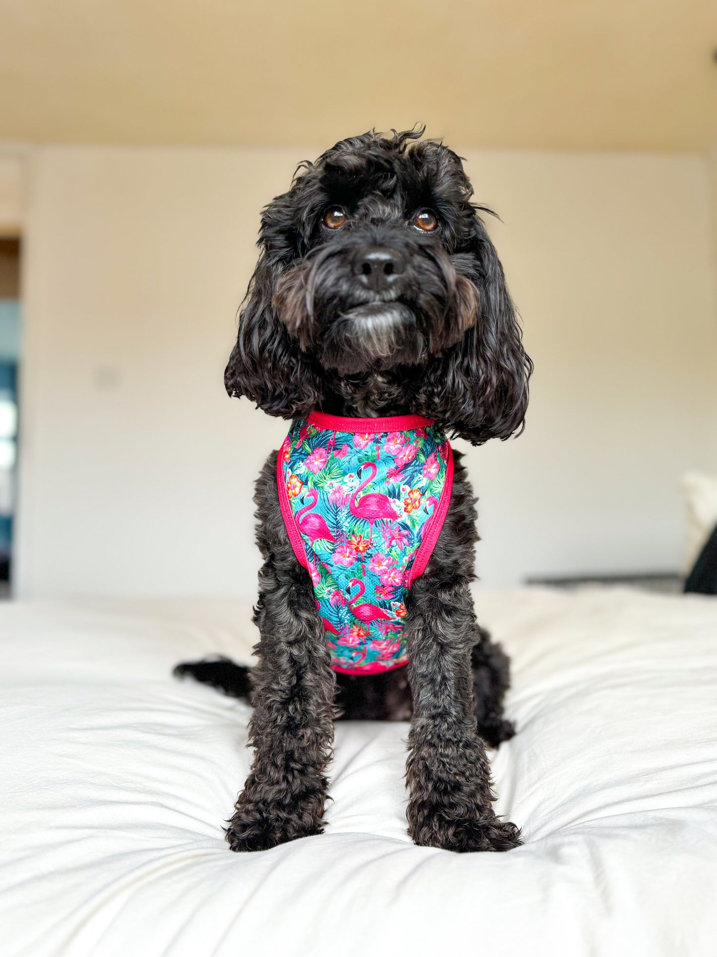 Tropical Pawradise Cooling Vest