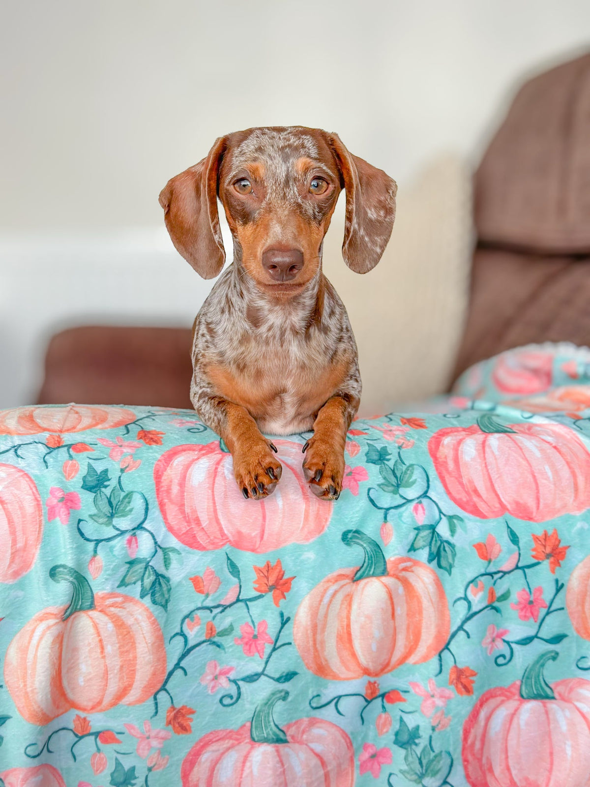 Pablo’s Pumpkins Dog Blanket