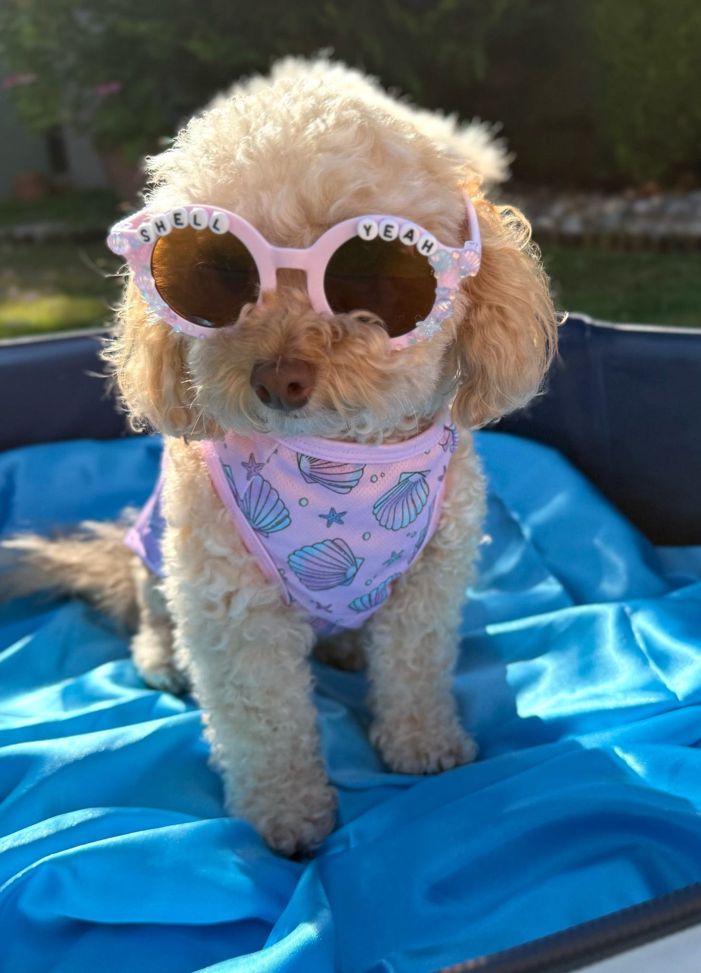 Mermaids Tails Cooling Vest