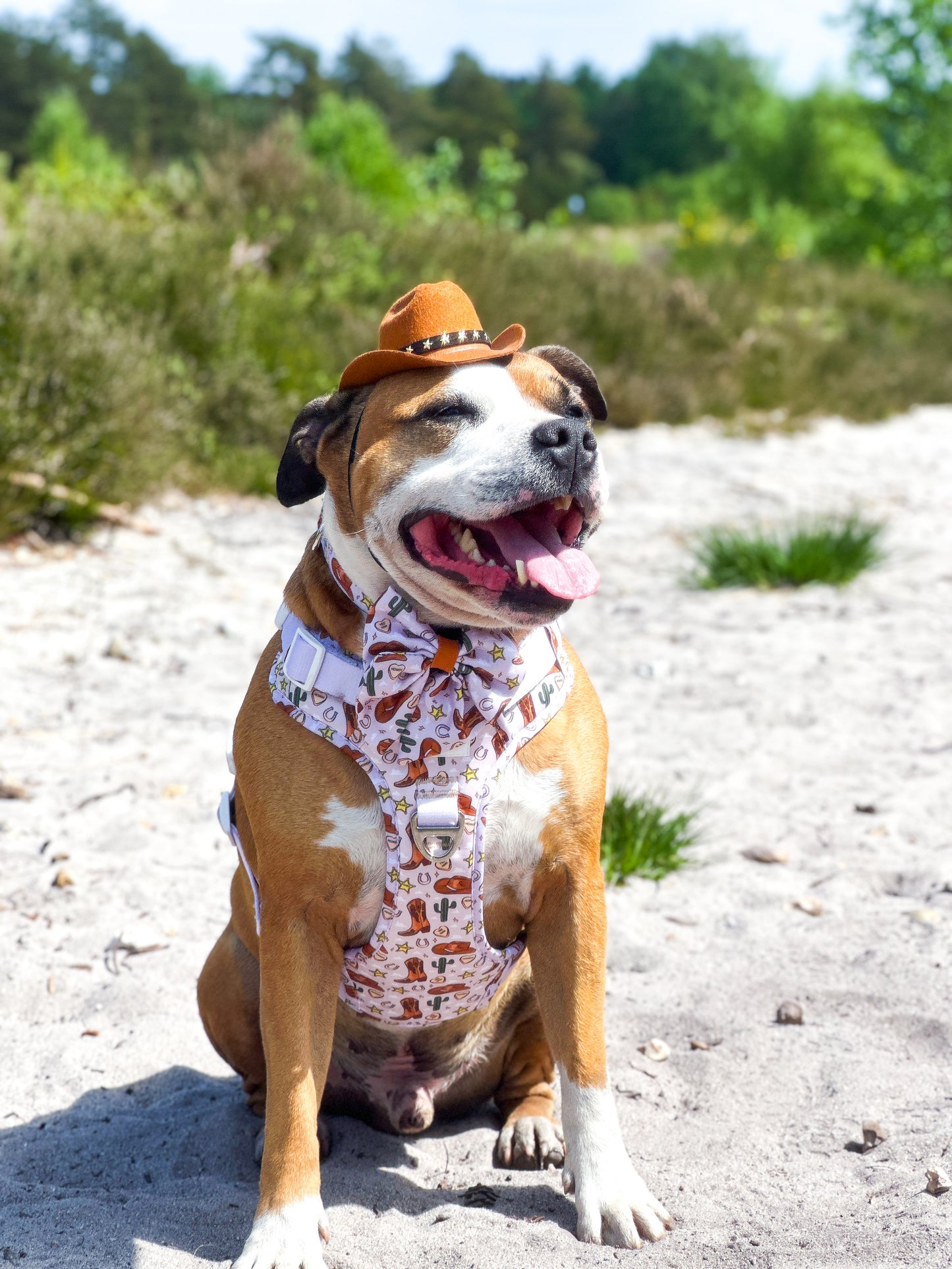 Howdy Pawtner Adventure Paws Harness