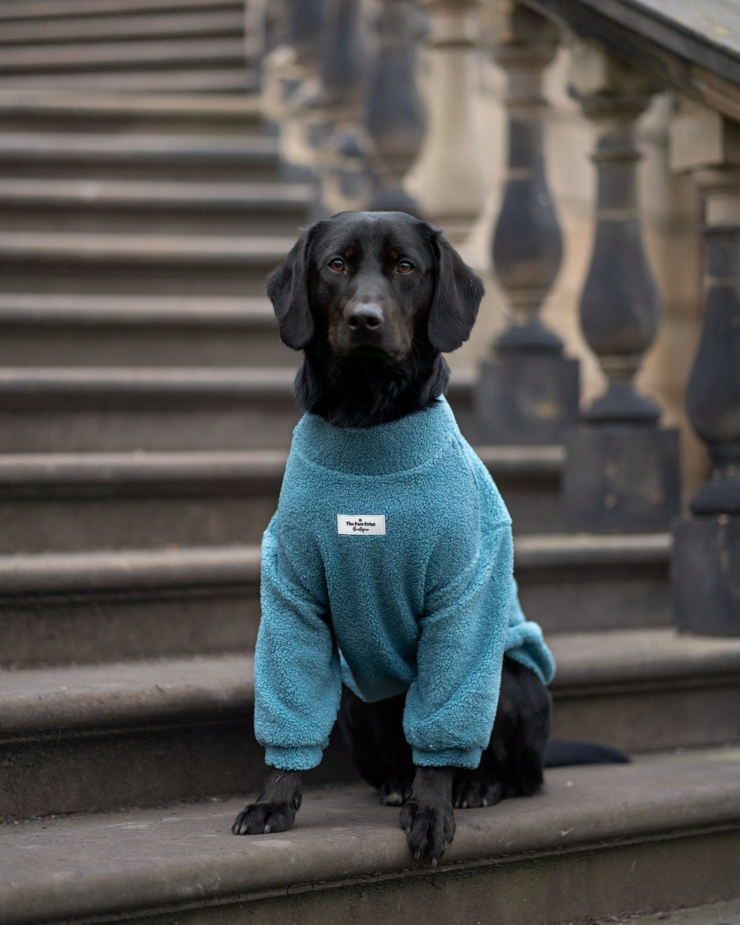 Teddy Fleece - Sea Blue