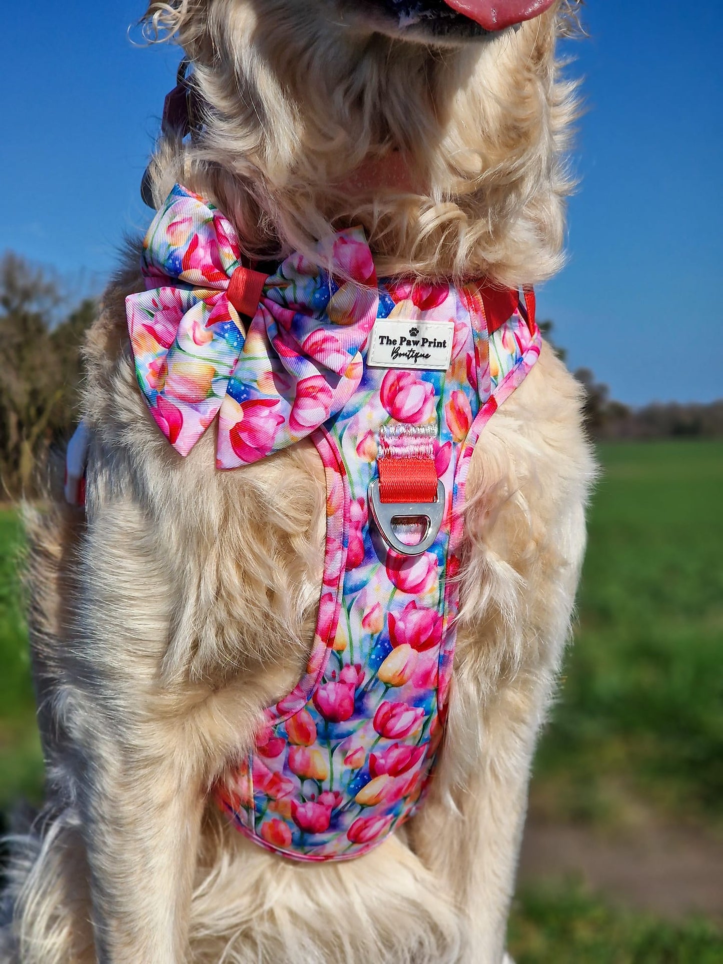 The Tulip Field Bow Tie