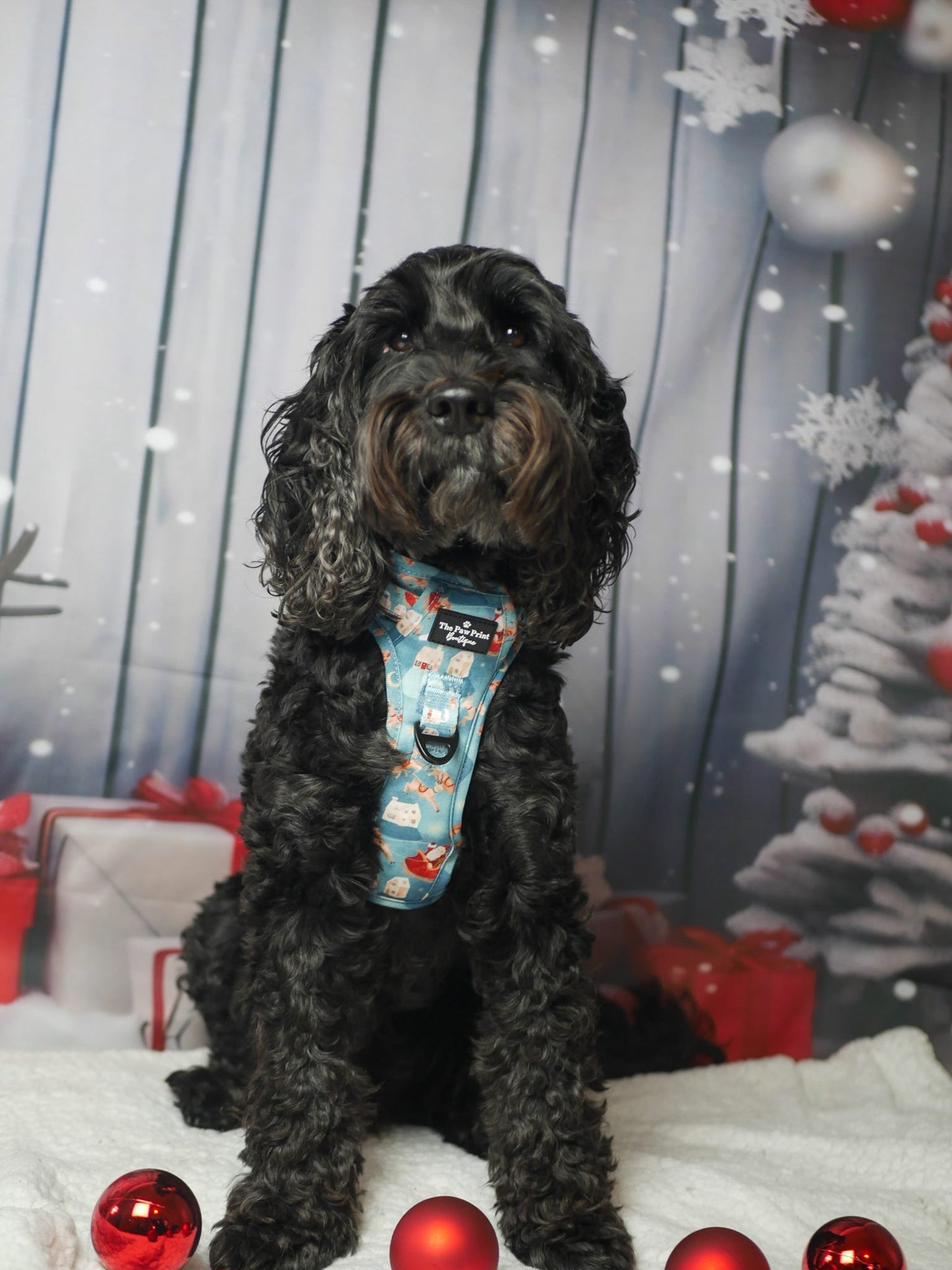 The Sleighing Santa Adventure Paws Harness