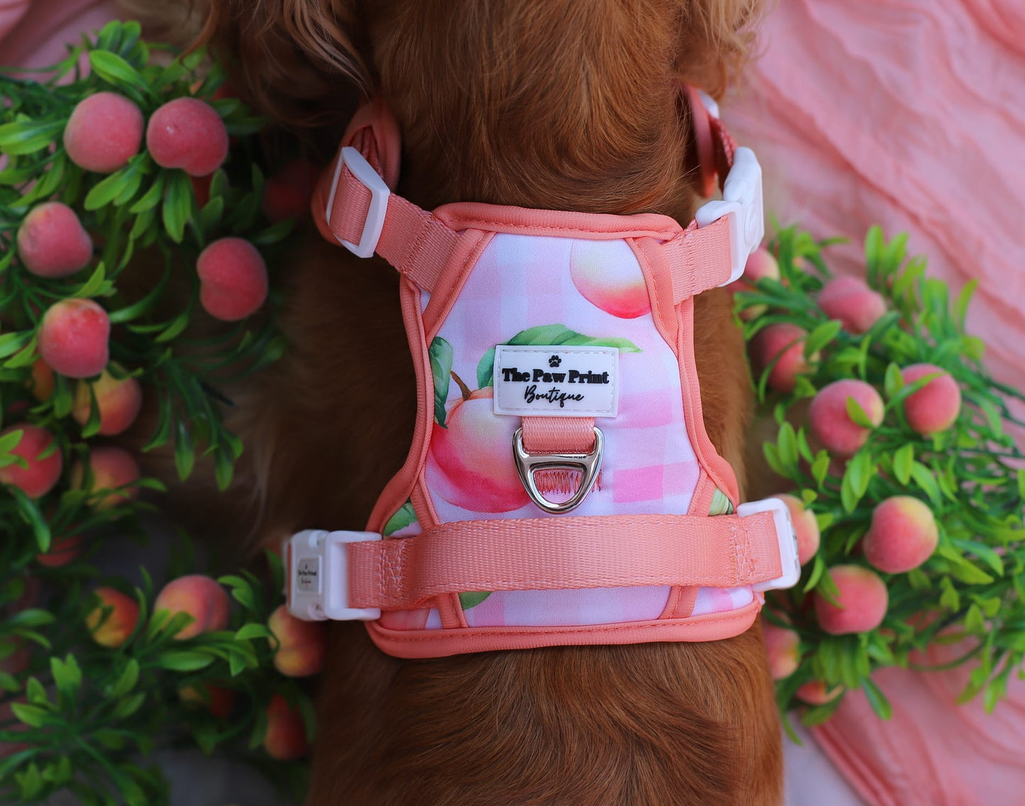 Peach Gingham Adventure Paws Harness