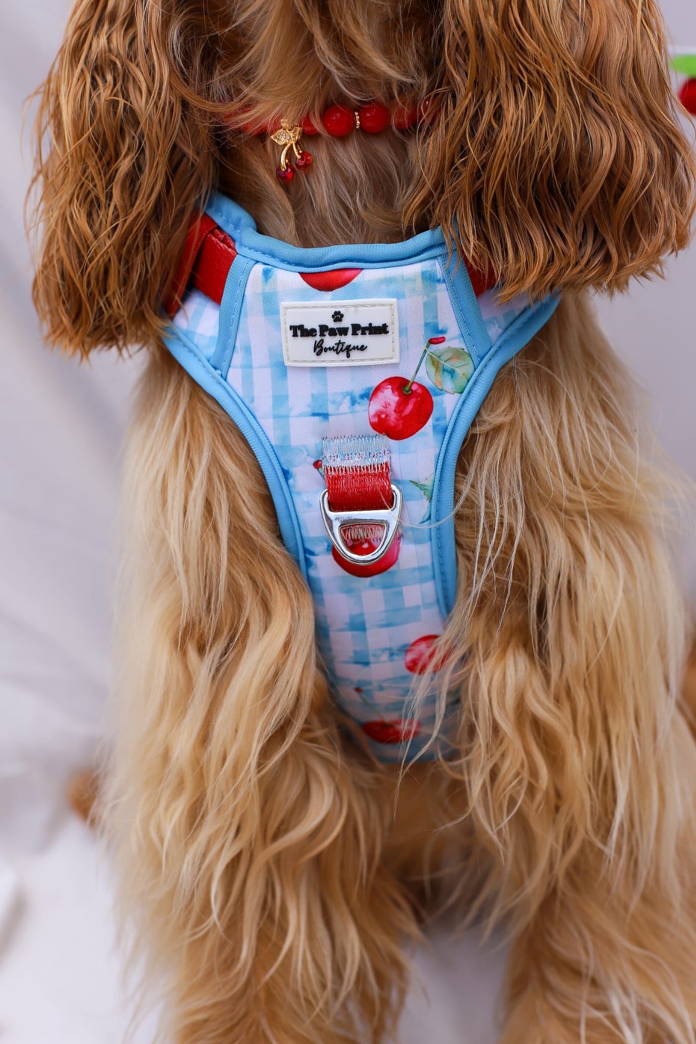 Cherry Gingham Adventure Paws Harness