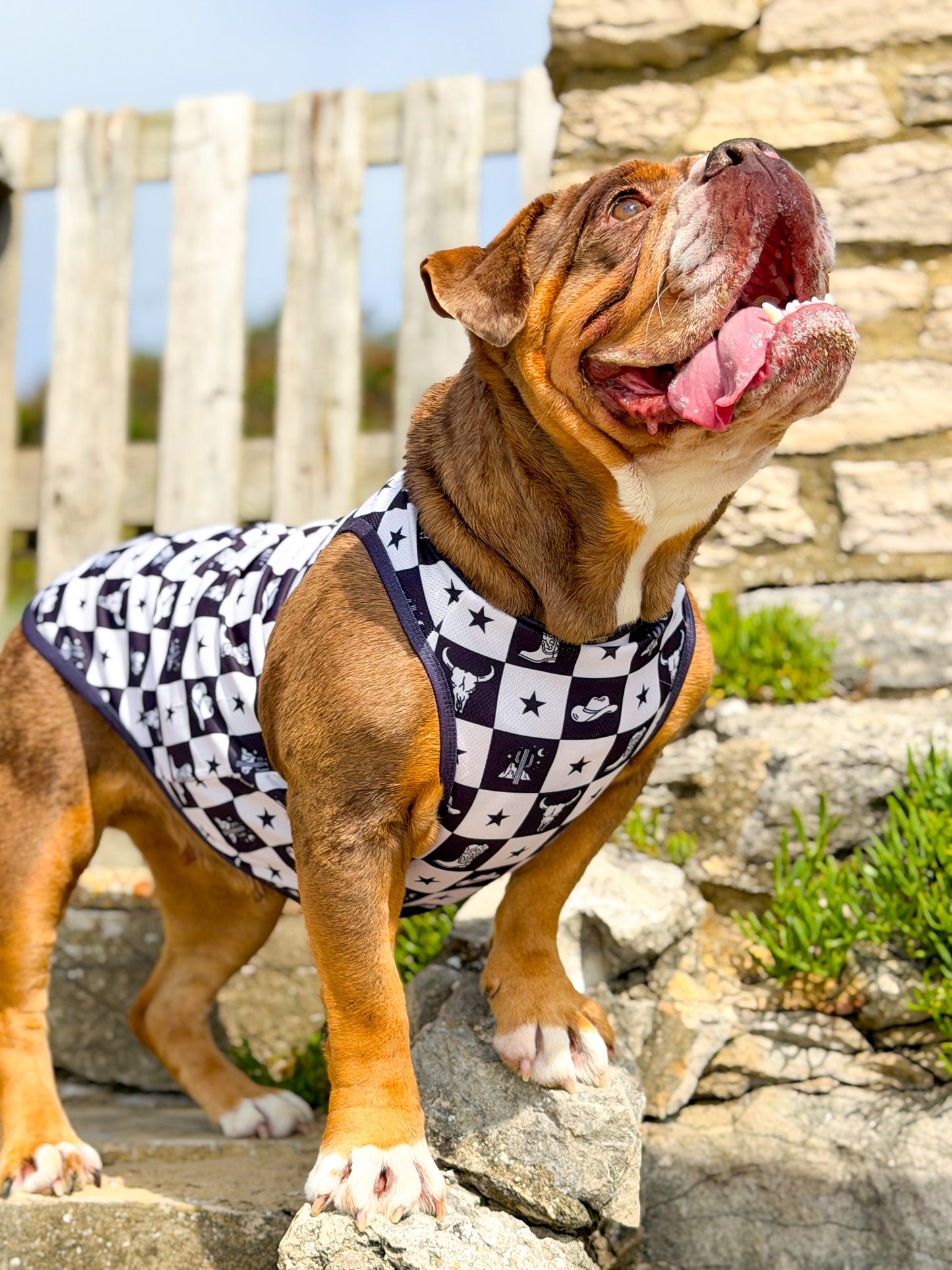 Wild West Cooling Vest