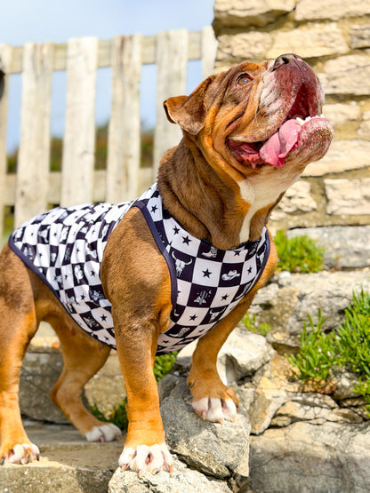 Wild West Cooling Vest