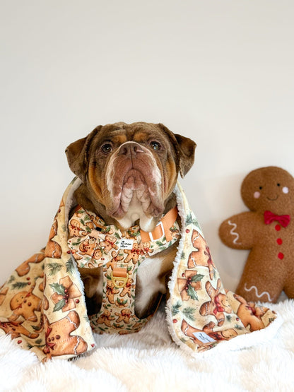 Gingerbread Grove Bow Tie