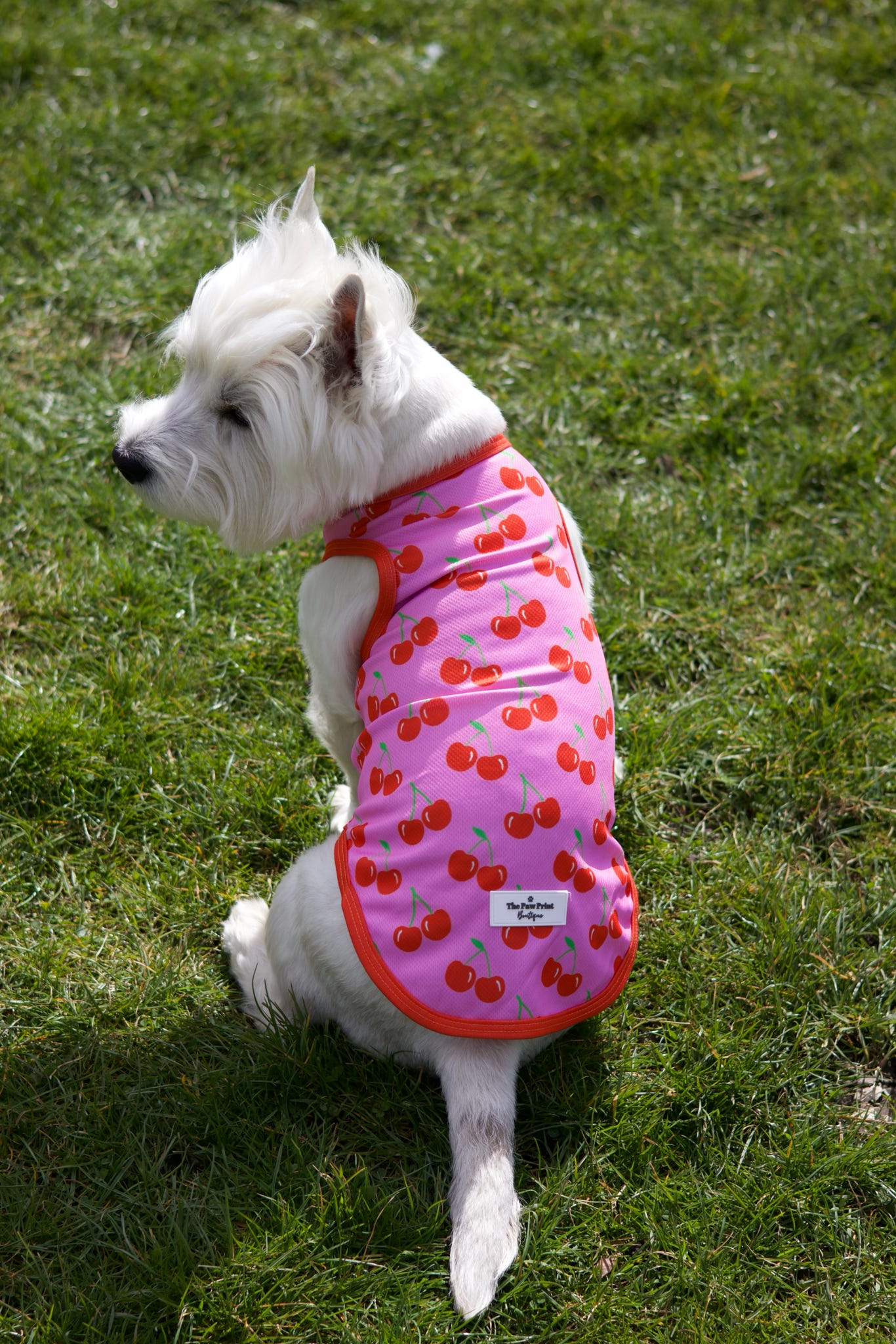 The Cherry on Top Cooling Vest