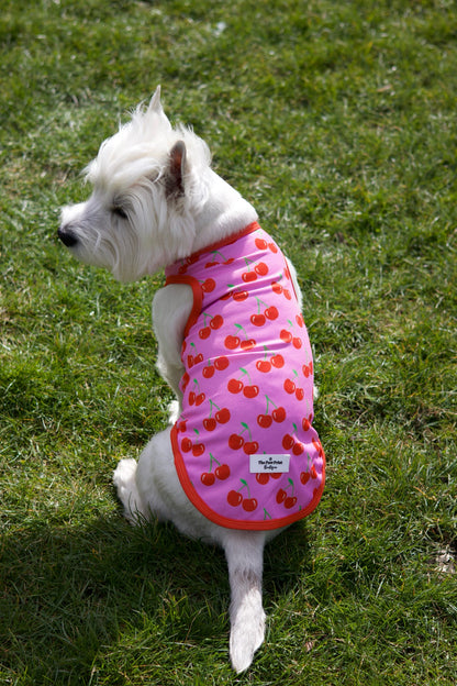 The Cherry on Top Cooling Vest