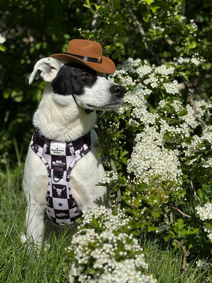 The Wild West Adventure Paws Harness