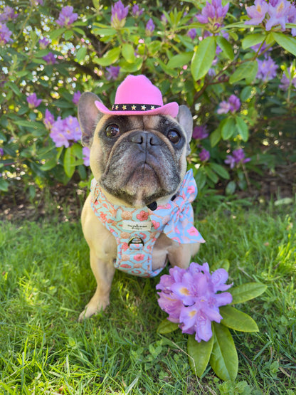 She sells Seashells by the YEEHAW Adventure Paws Harness