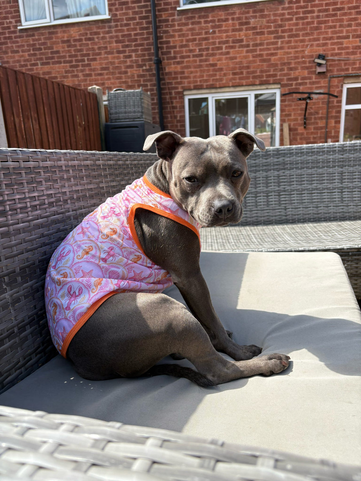 Under the Sea Cooling Vest