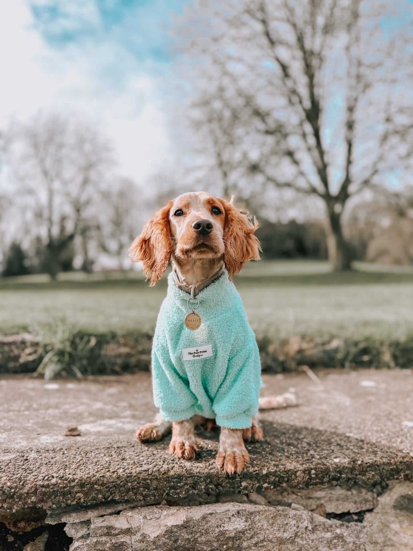 Teddy Fleece - Mint