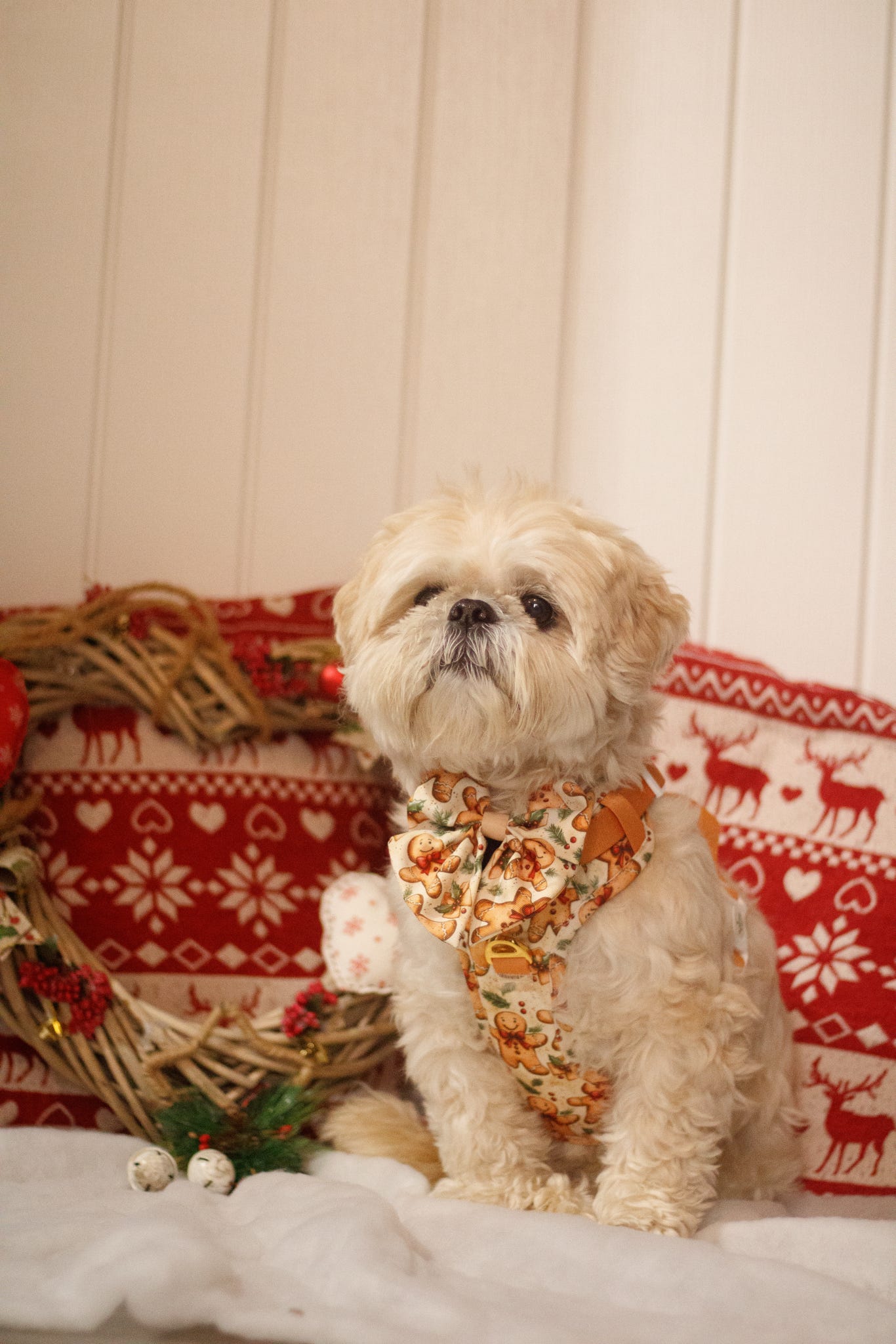 Gingerbread Grove Bow Tie