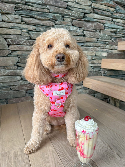 Cherry on Top Adventure Paws Harness