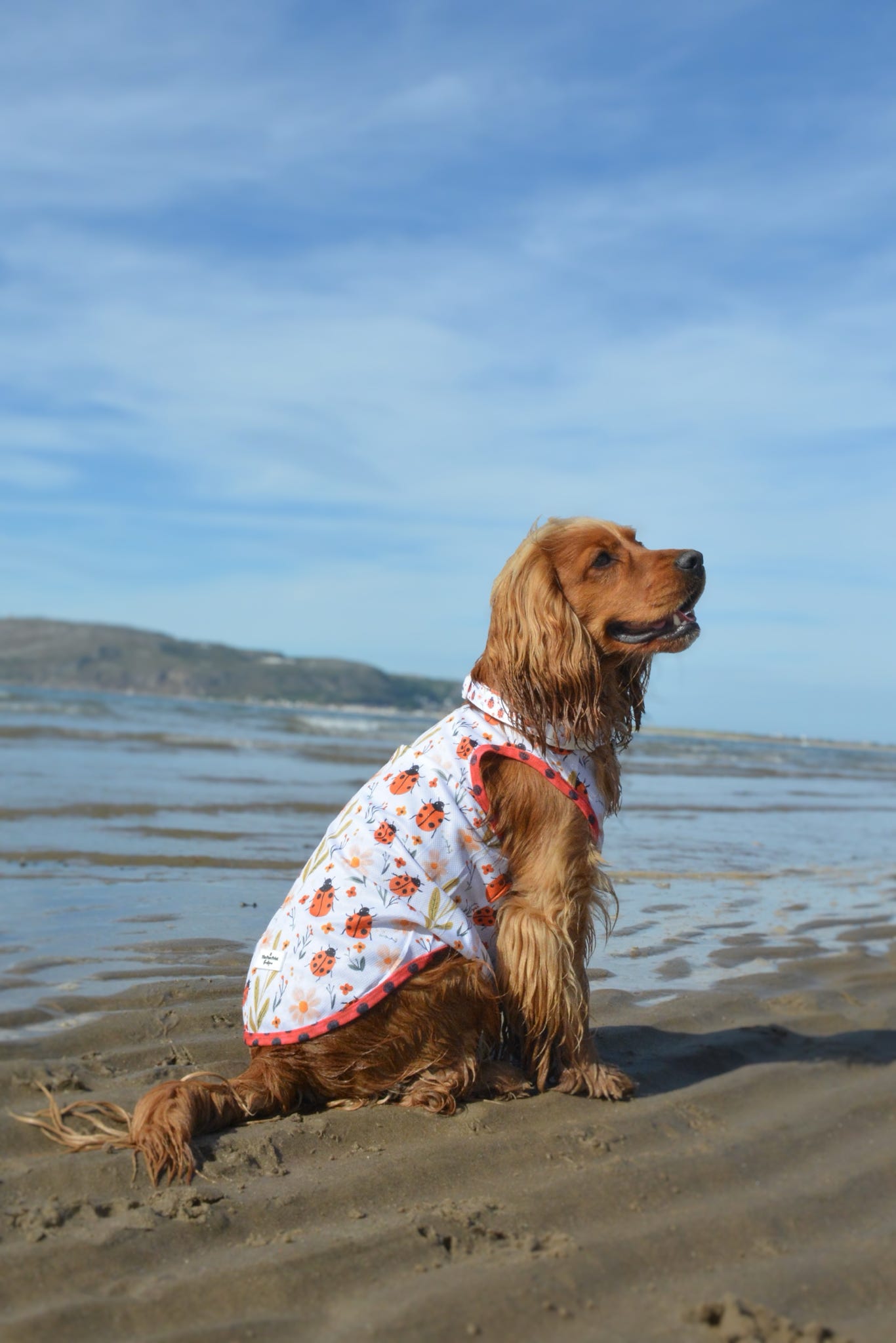 Ladybird Lane Cooling Vest