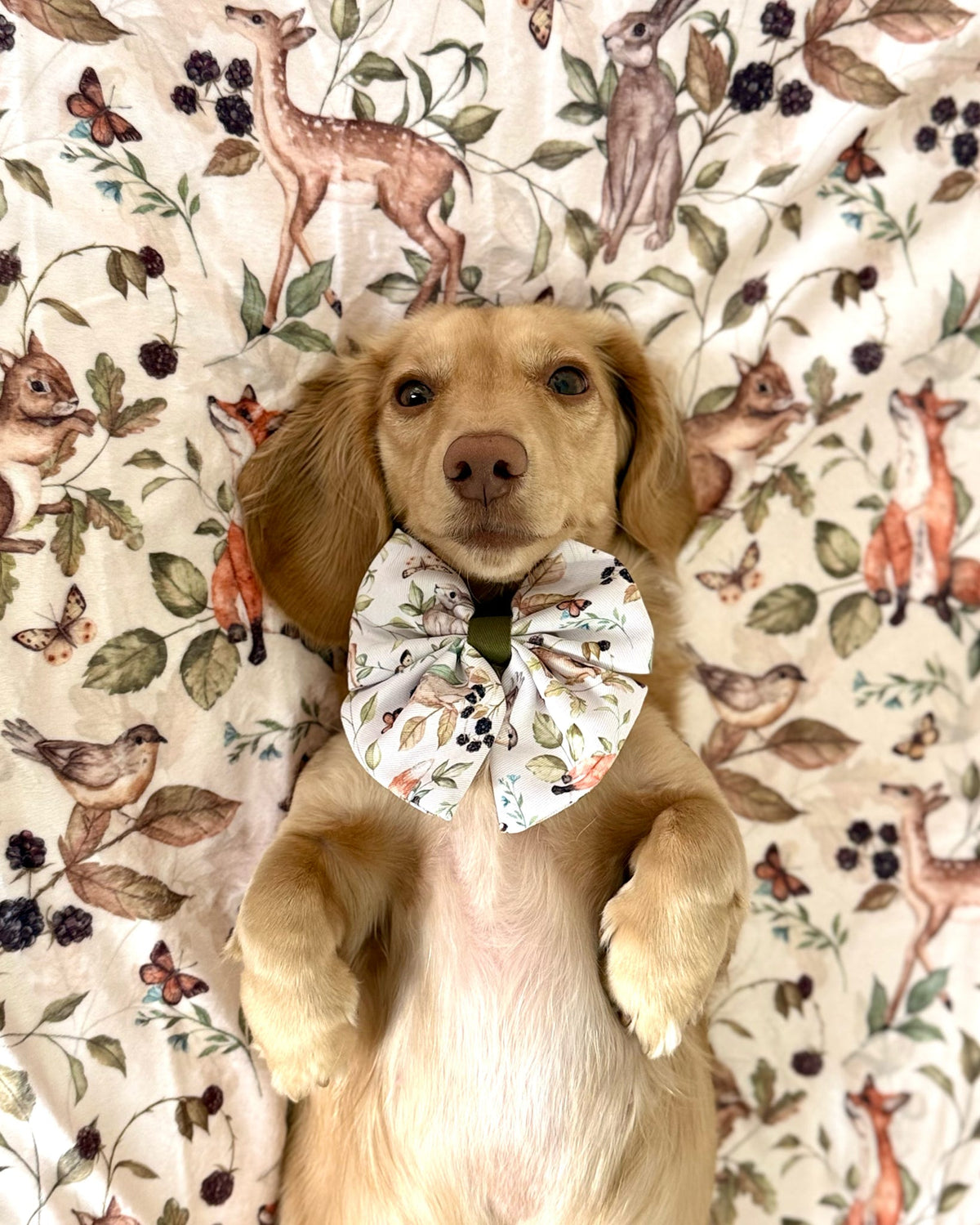 Whimsical Wildlife Human Blanket