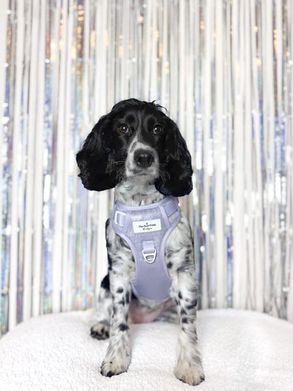 The Lavish Lilac Adventure Paws Harness
