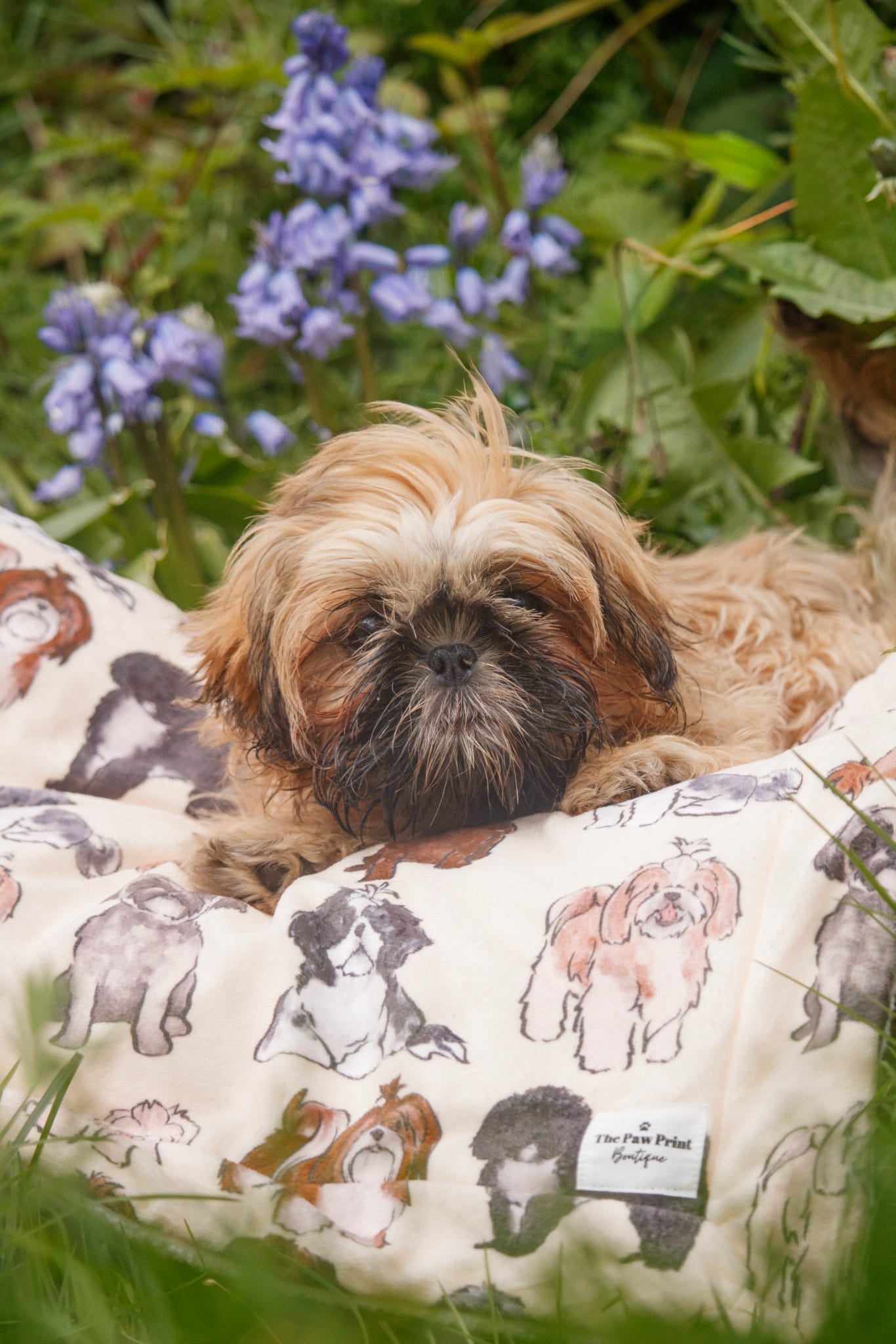 Shih Tzu Dog Blanket