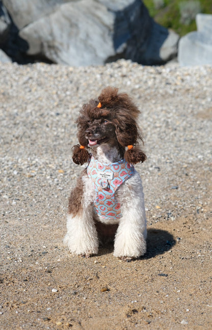 She sells Seashells by the YEEHAW Adjustable Harness