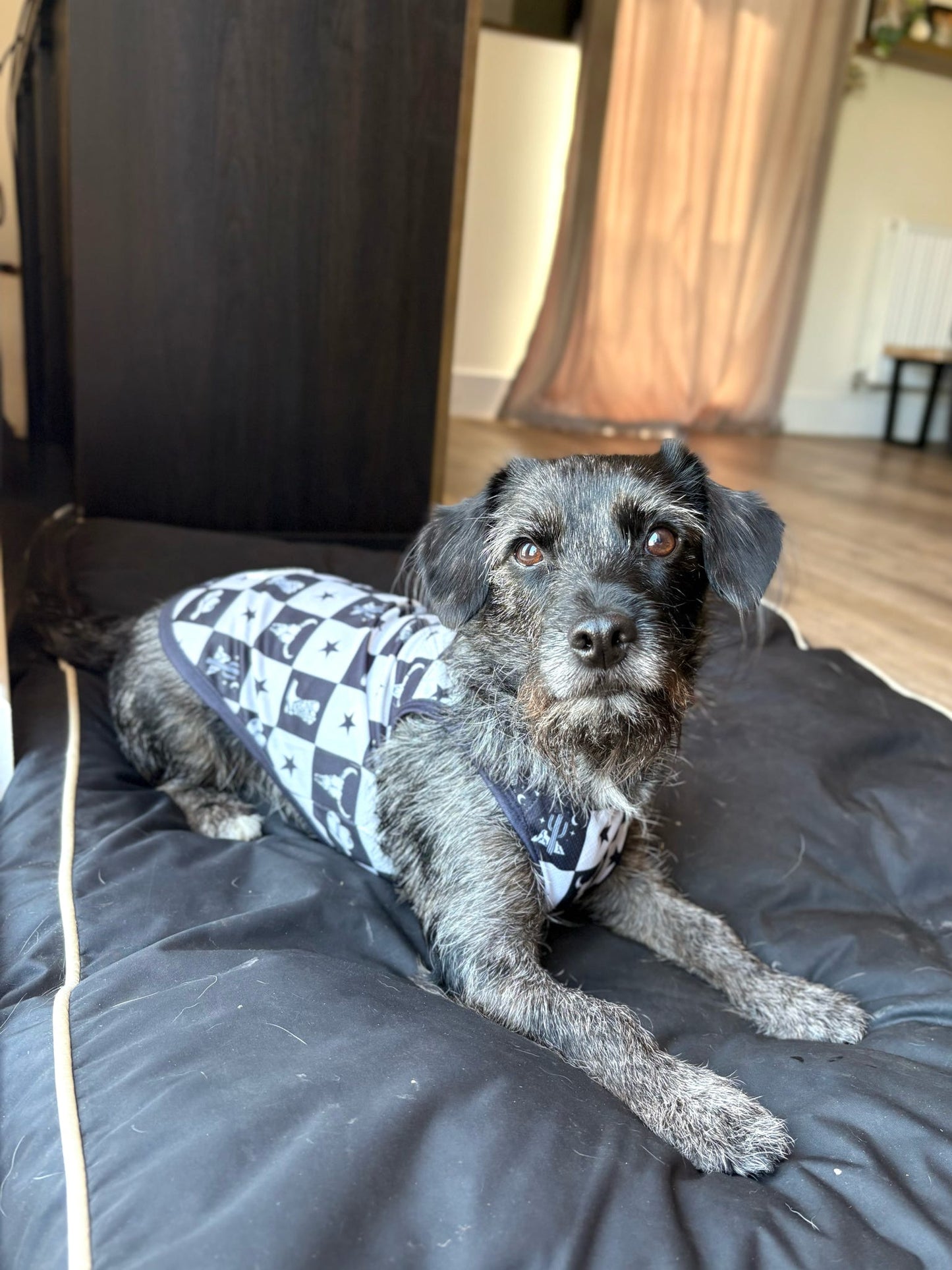Wild West Cooling Vest