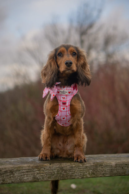 Pink Chequered Hearts Adventure Paws Harness