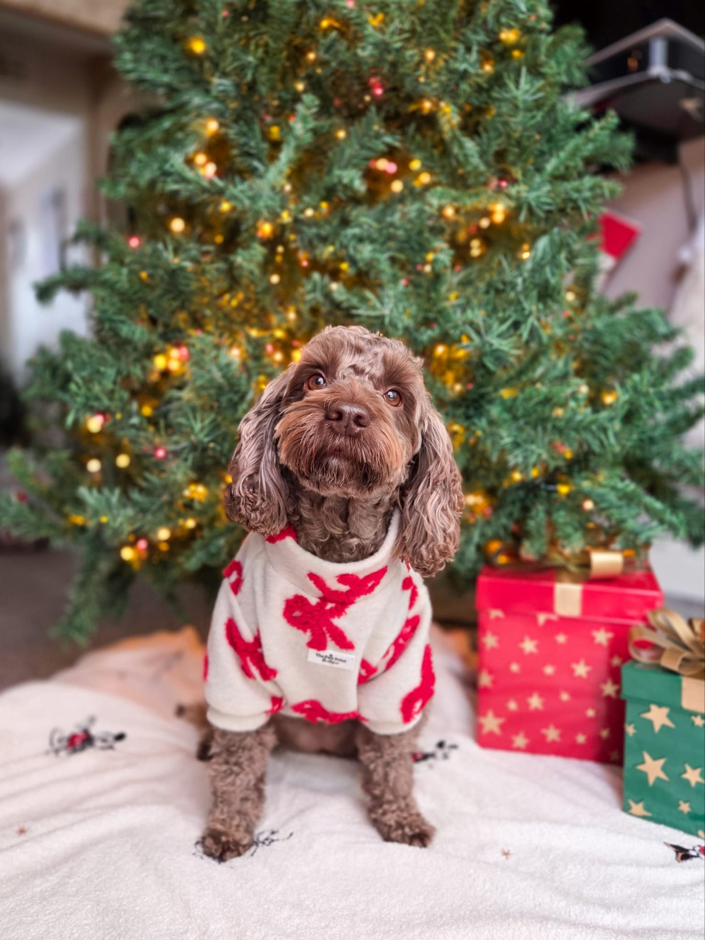 The Red Bow Fleece