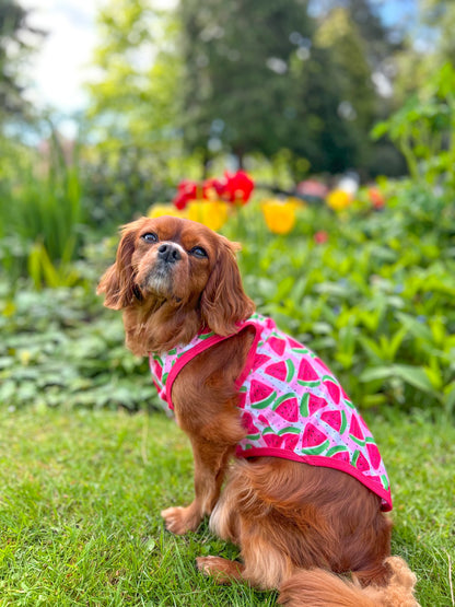 Watermelon Sugar Cooling Vest