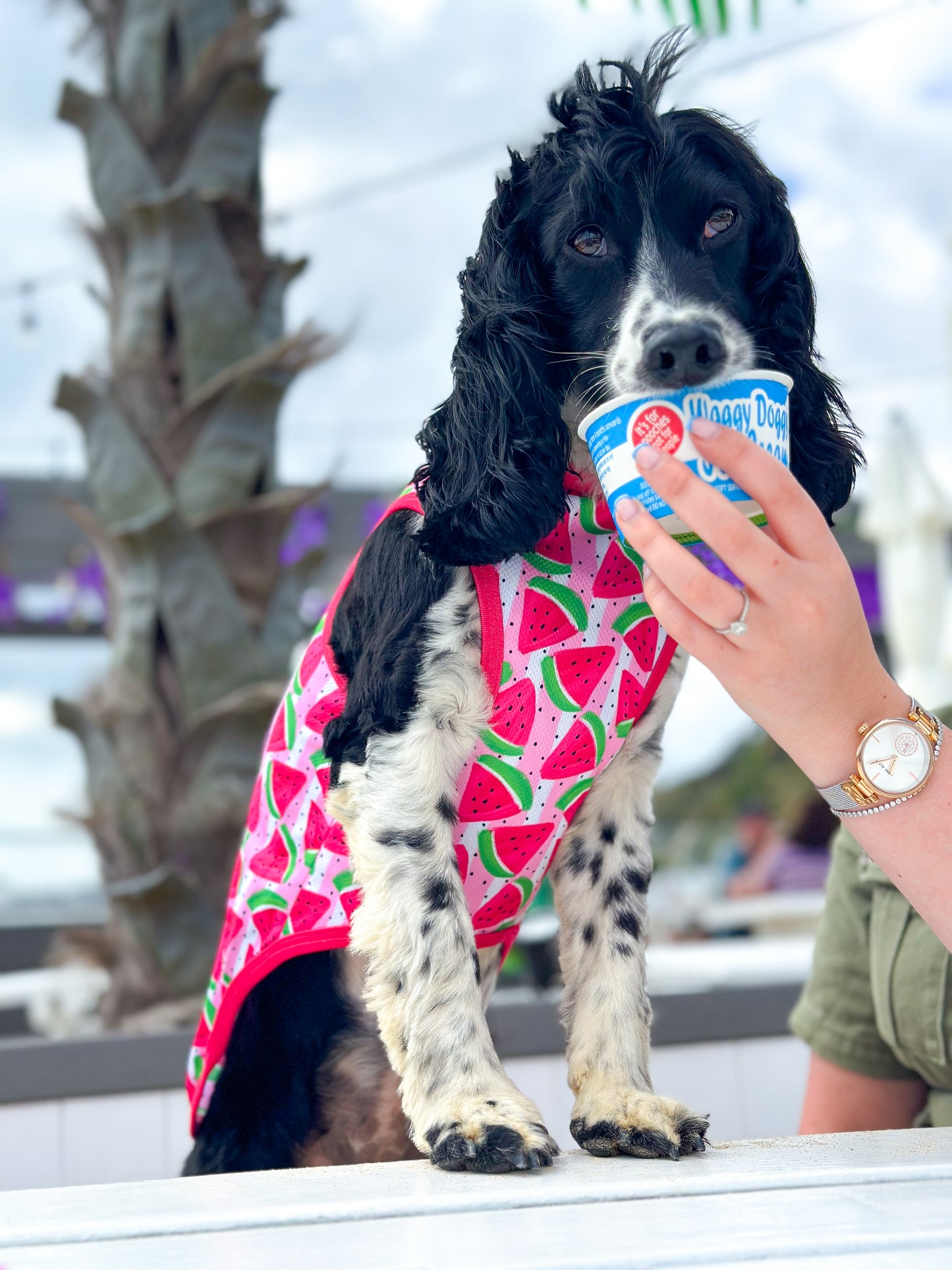 Watermelon Sugar Cooling Vest