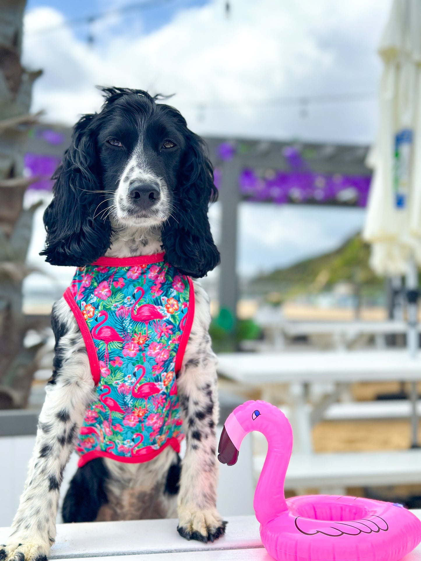 Tropical Pawradise Cooling Vest