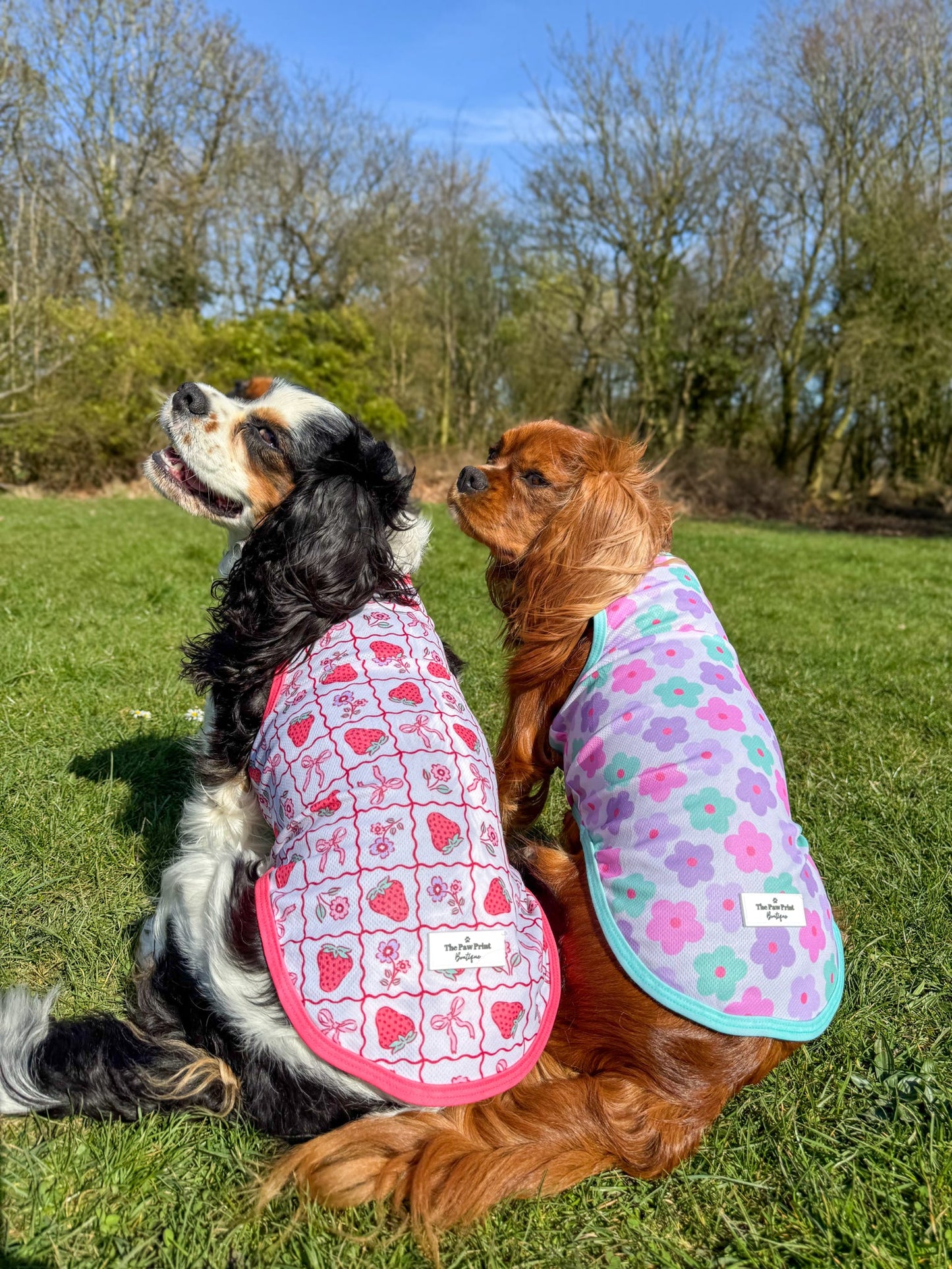 Bows & Berries Cooling Vest