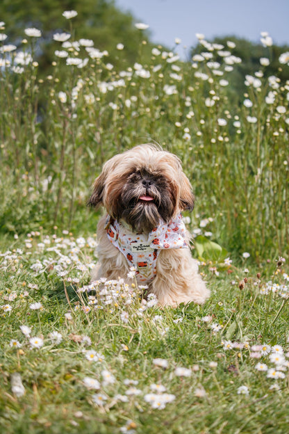 Ladybird Lane Adventure Paws Harness
