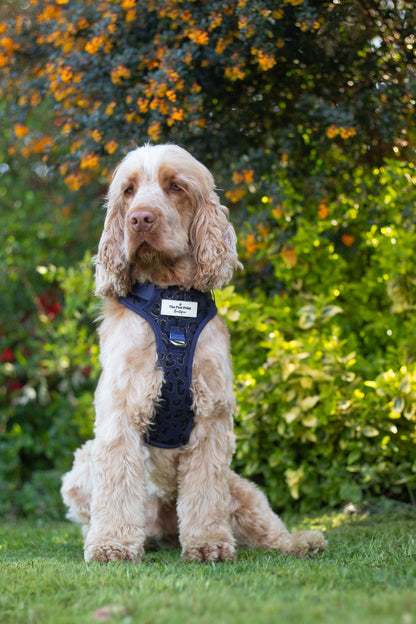 The Luxe Leopard (Navy) Adventure Paws Harness