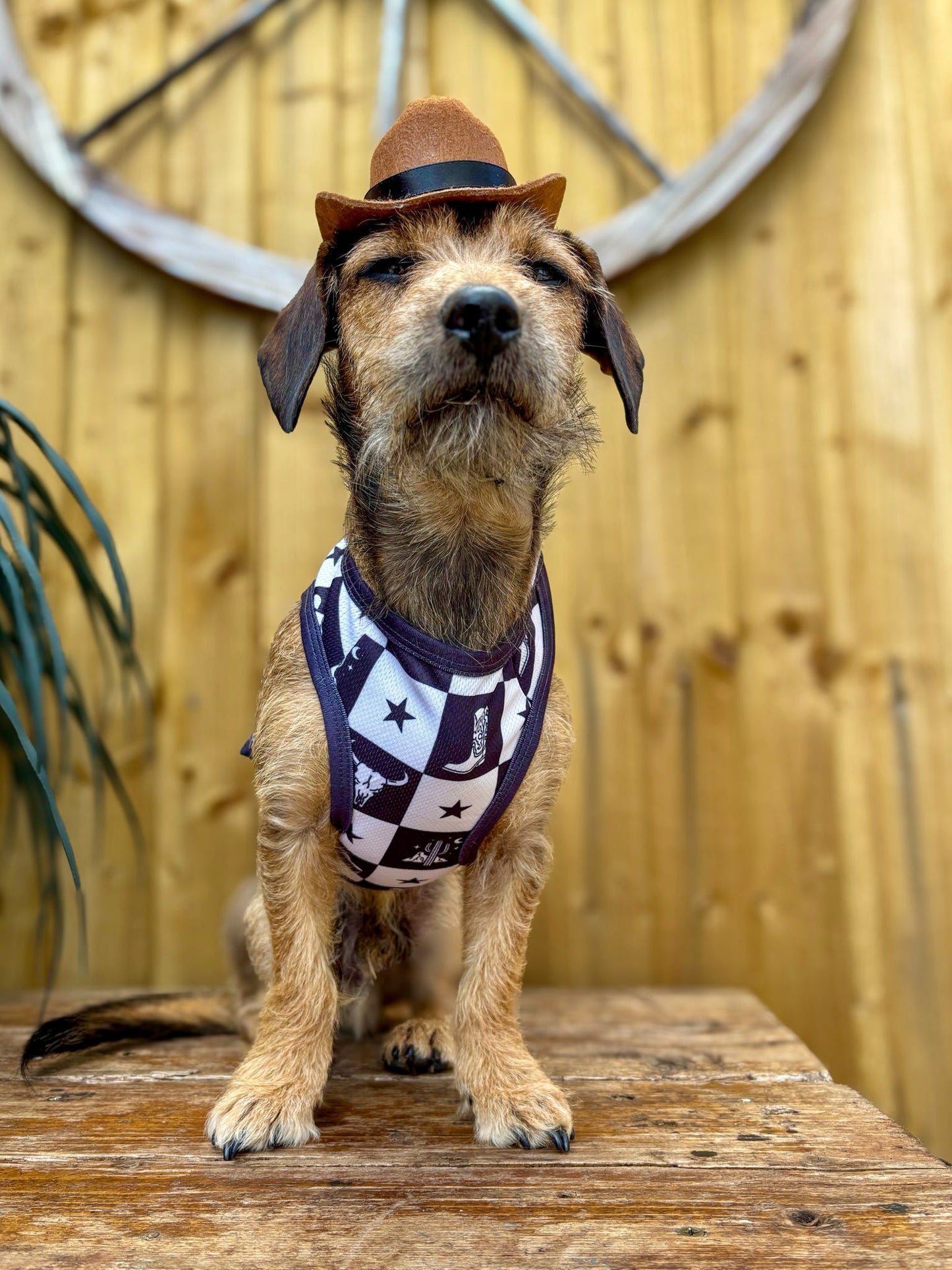 Wild West Cooling Vest
