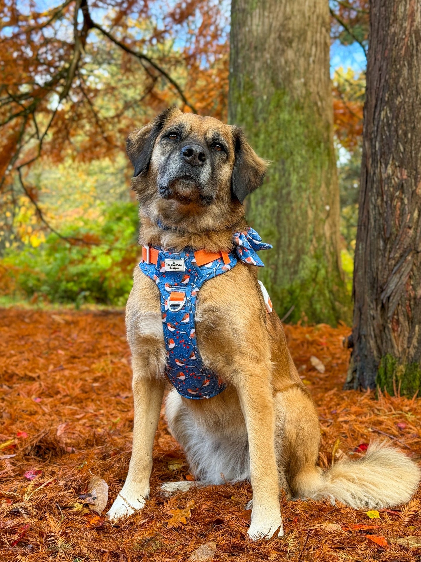 Seasons Tweetings Bow Tie