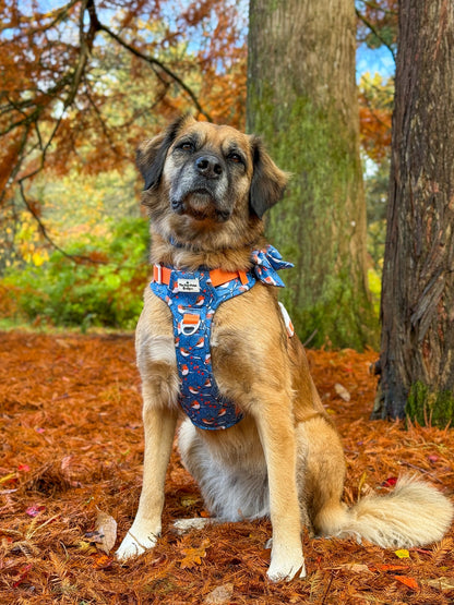 Seasons Tweetings Bow Tie