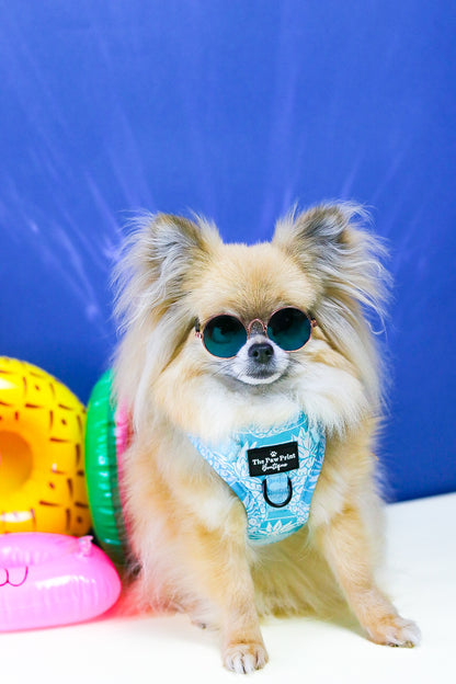 The Pineapple Pawty Adventure Paws Harness