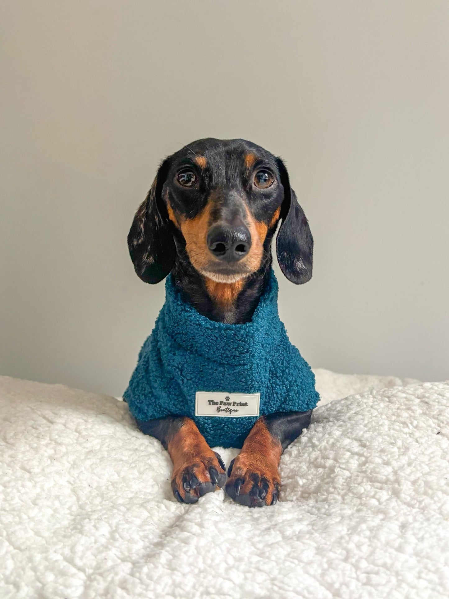Teddy Fleece - Teal