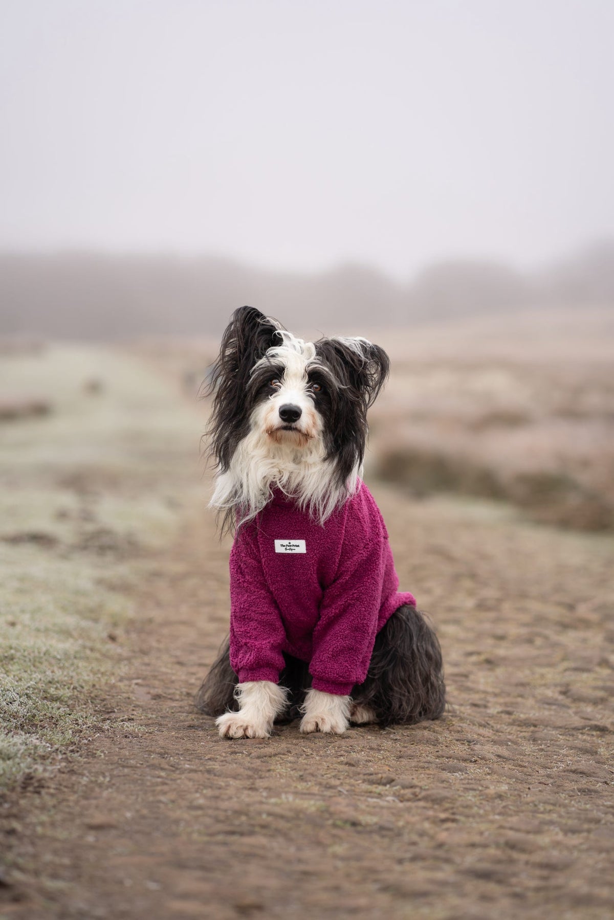 Teddy Fleece - Magenta