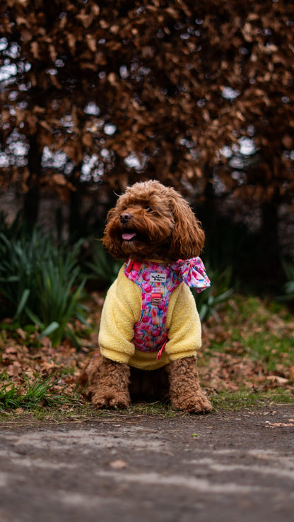 The Tulip Field Adventure Paws Harness