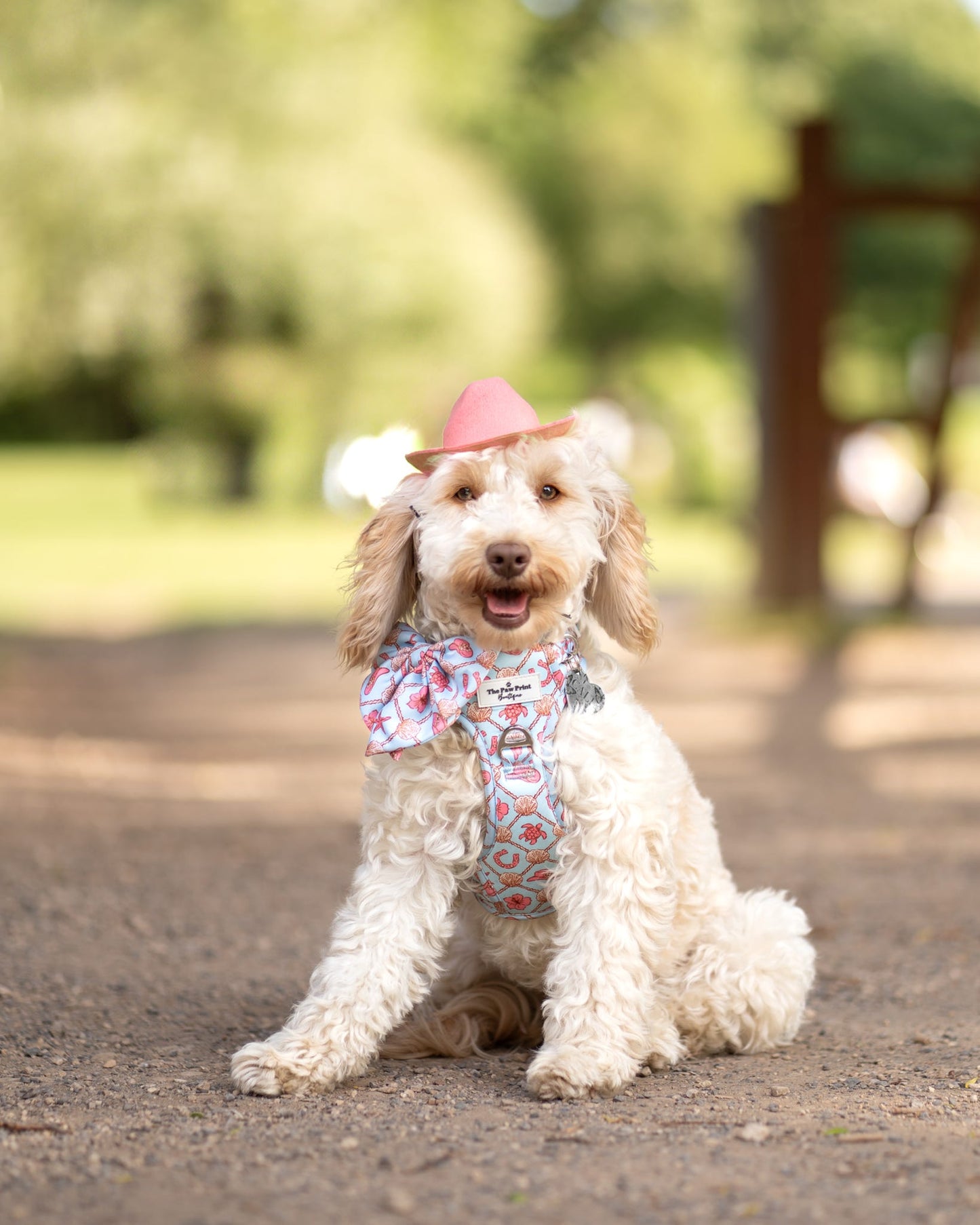 She sells Seashells by the YEEHAW Adventure Paws Harness