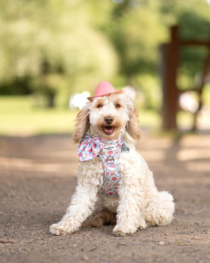 She sells Seashells by the YEEHAW Adventure Paws Harness