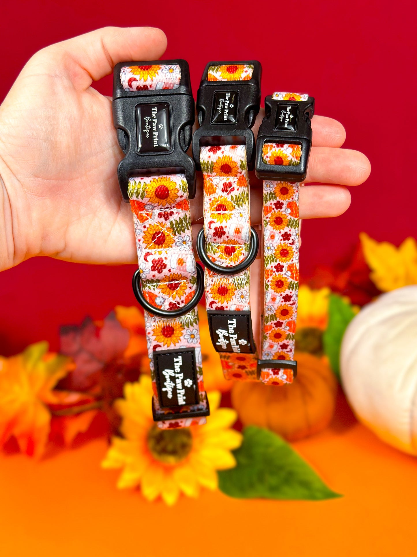 The Pumpkin Pie Collar